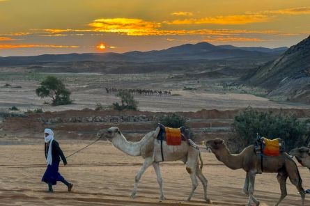 15 Days Morocco Tour from Casablanca