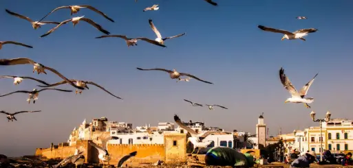 Tailor Made Morocco Tours