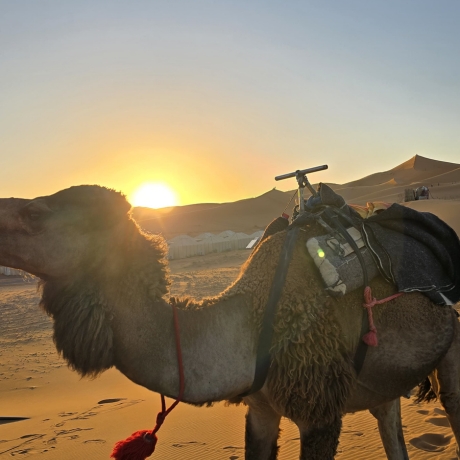 Morocco Tours for Couples