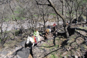 Adventure Morocco Tours: Mountains, Desert & More