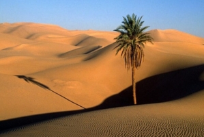 Eco-Friendly Morocco Tours – Sustainable Travel