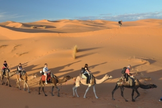 Tailor Made Morocco Tours from Tangier