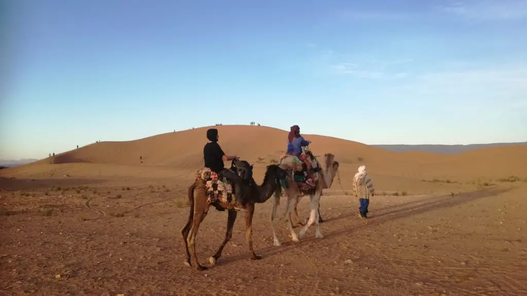 Mhamid Desert Camel Trek
