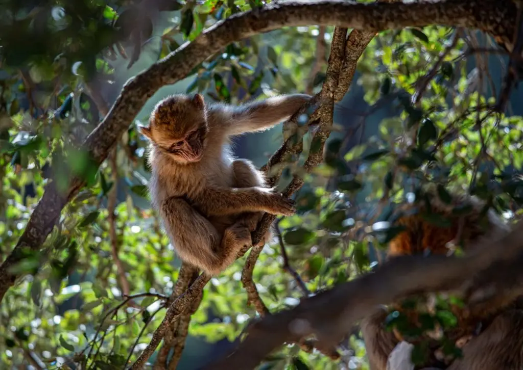 Eco-Friendly Morocco Tours – Sustainable Travel