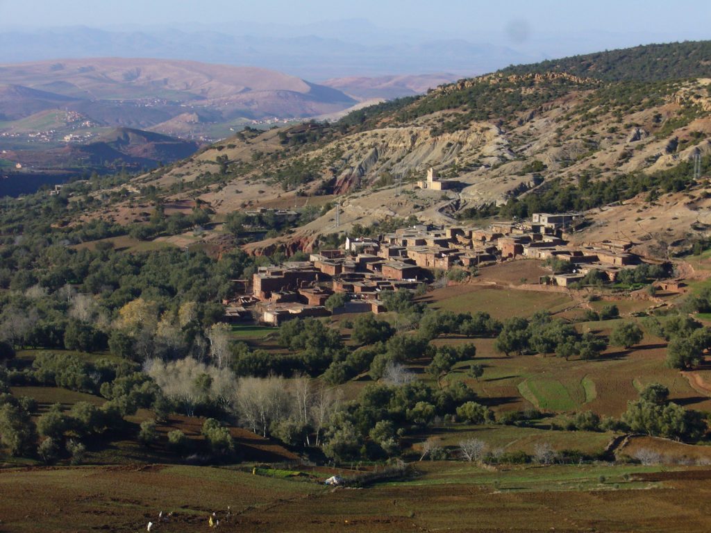 Morocco birdwatching tour