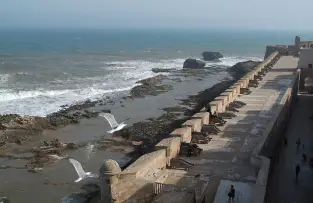 Essaouira fishing port with blue boats during a Morocco itinerary from Marrakech to Tangier