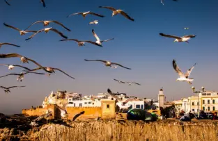 Golden beach and Atlantic coastline in Essaouira Morocco