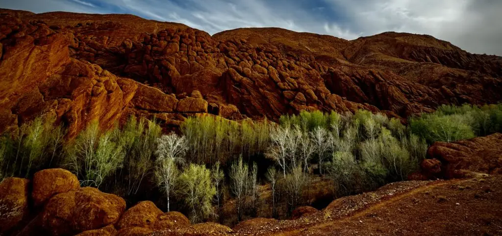 Morocco Tour Packages Dades Gorge Morocco