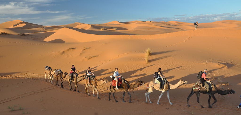 Camel Ride Erg Chigaga