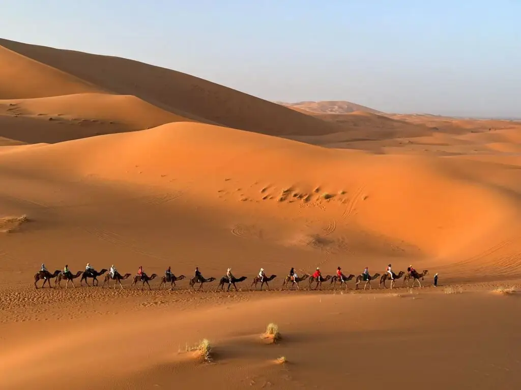 Sahara desert camel ride