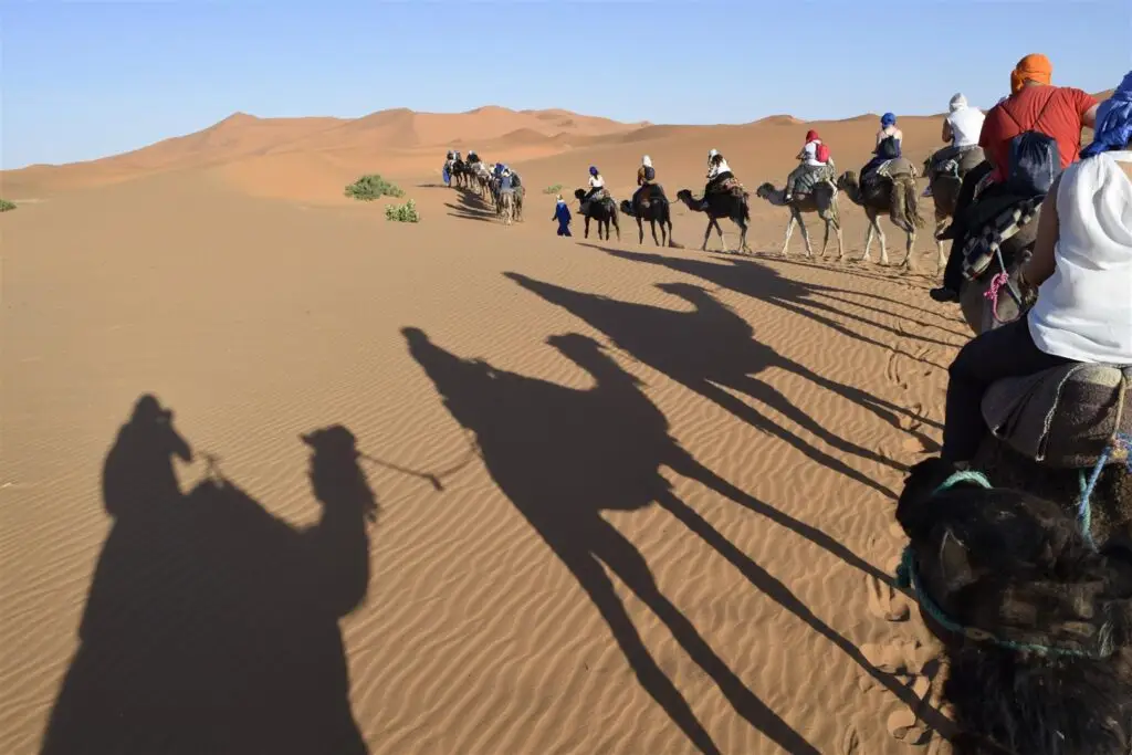 Camel ride in Merzouga Sahara Desert Morocco