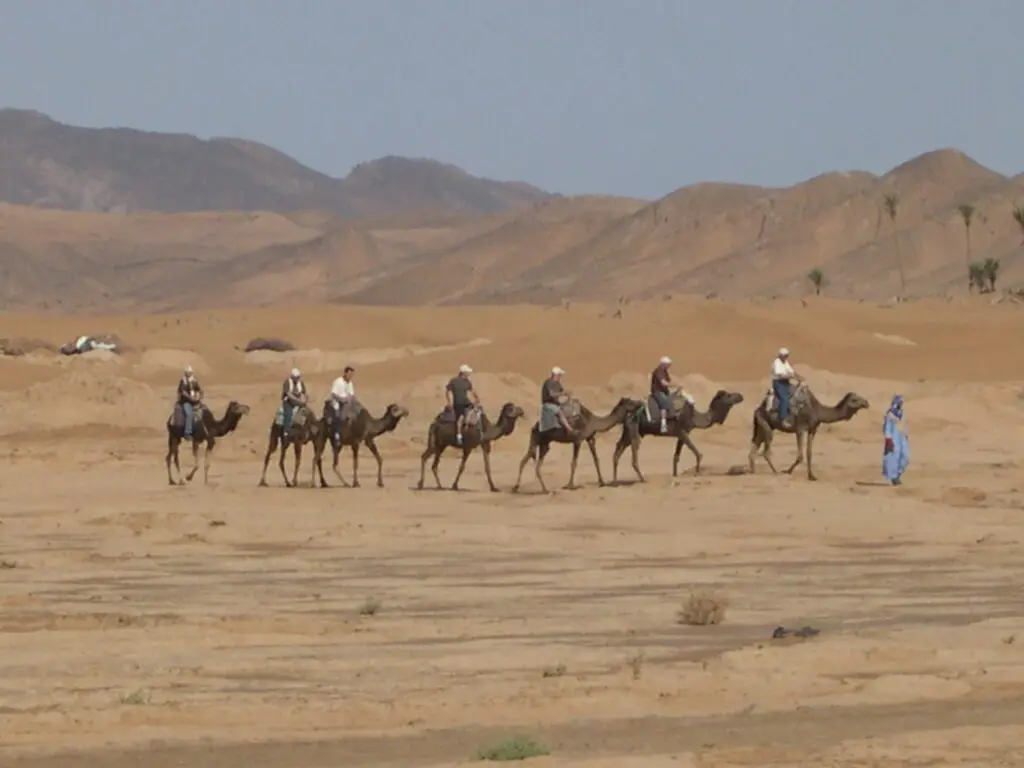 Zagora Desert and Draa Valley Morocco