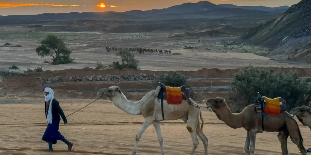 Private Morocco Tour Guide