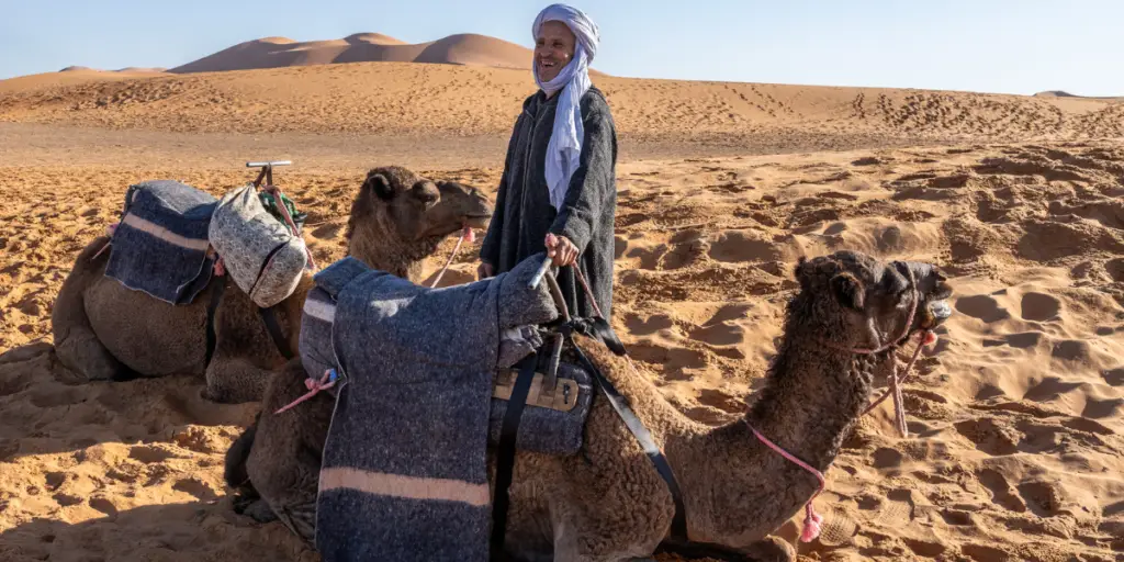 Professional camel guide Morocco