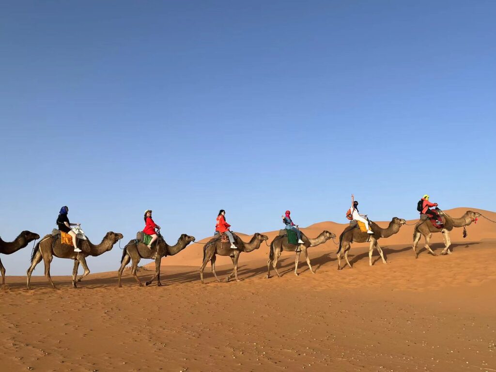 Sahara Desert Camel Ride