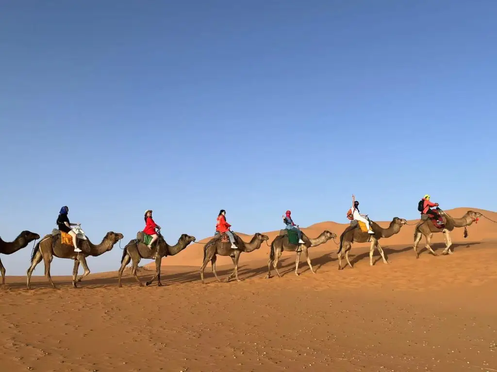 Sahara Desert Camel Ride