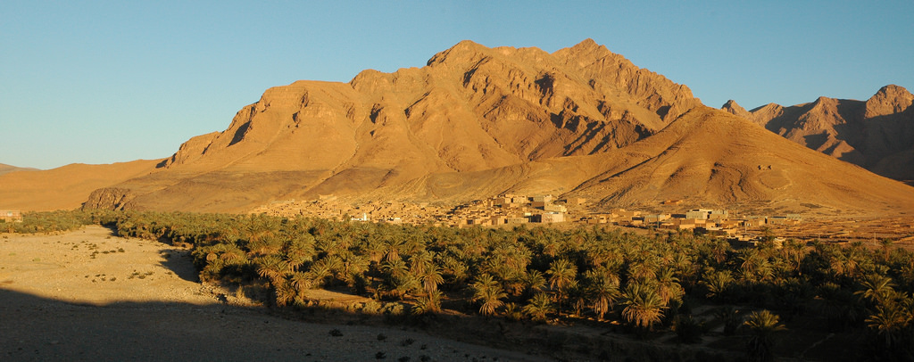 Palm groves and traditional kasbahs in Skoura Oasis Morocco