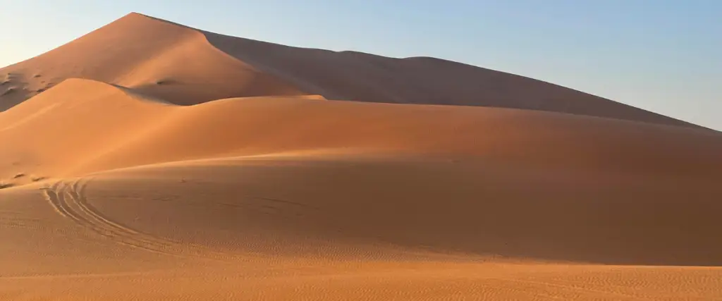 Camel trekking across the remote Erg Chegaga dunes in Morocco