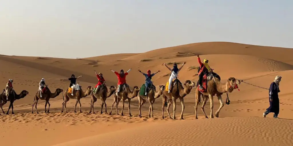 Camel caravan crossing Moroccan Sahara sand dunes