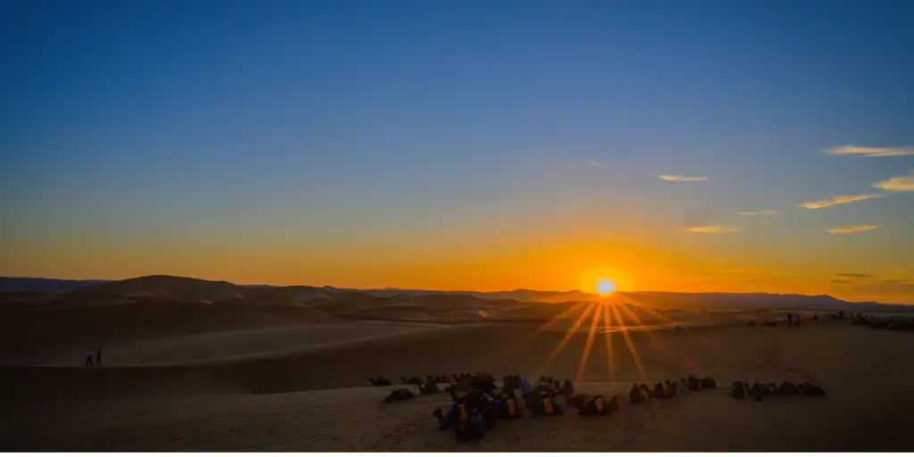 Camel caravan riding across Sahara dunes at sunset in Morocco
