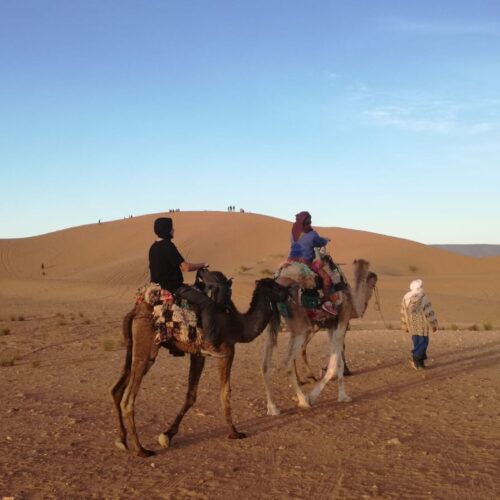 Camel ride through the Erg Chegaga desert in Morocco