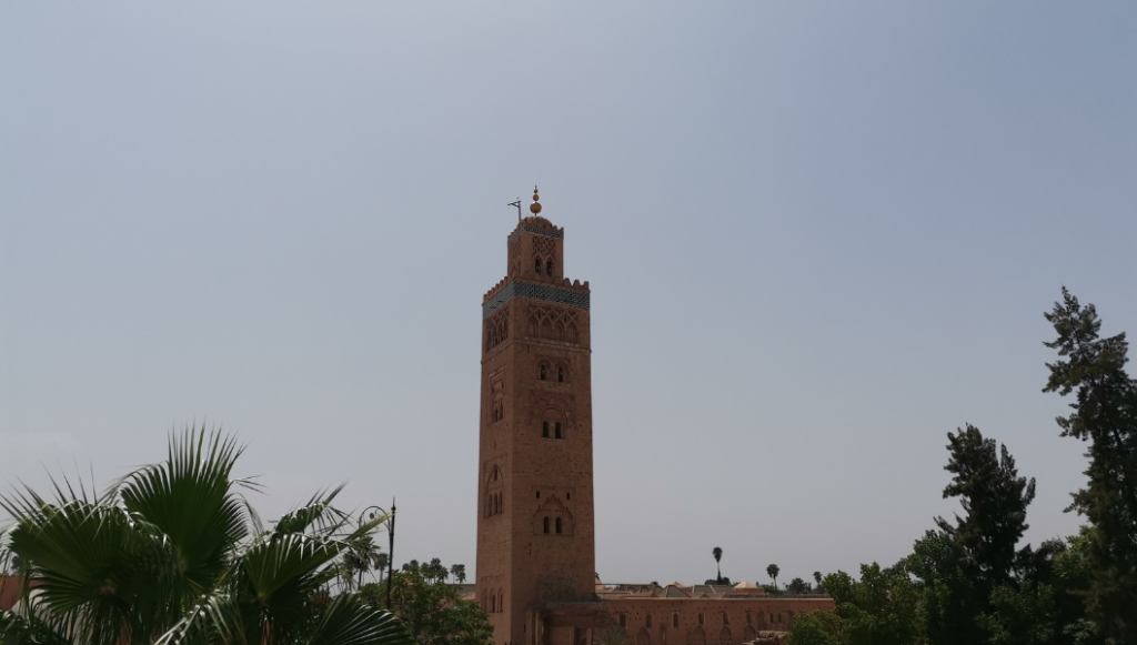 Sunny garden with spring flowers in Marrakech in April