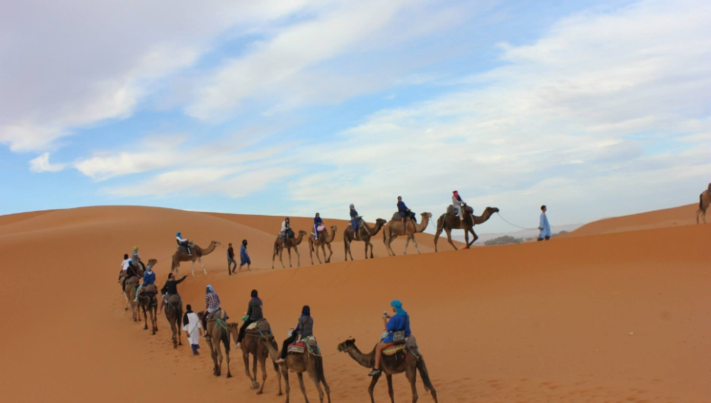 Camel ride at sunset in the Erg Chegaga dunes