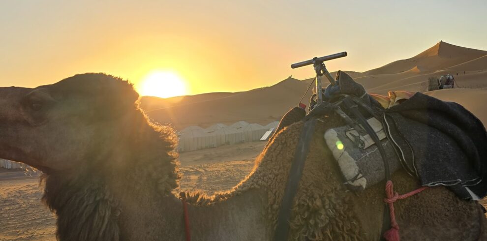 Erg Chegaga Desert Tour from Marrakech across the Sahara dunes