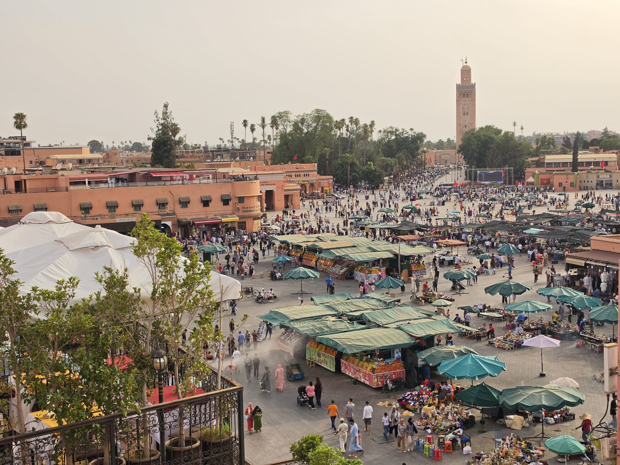 morocco private driver